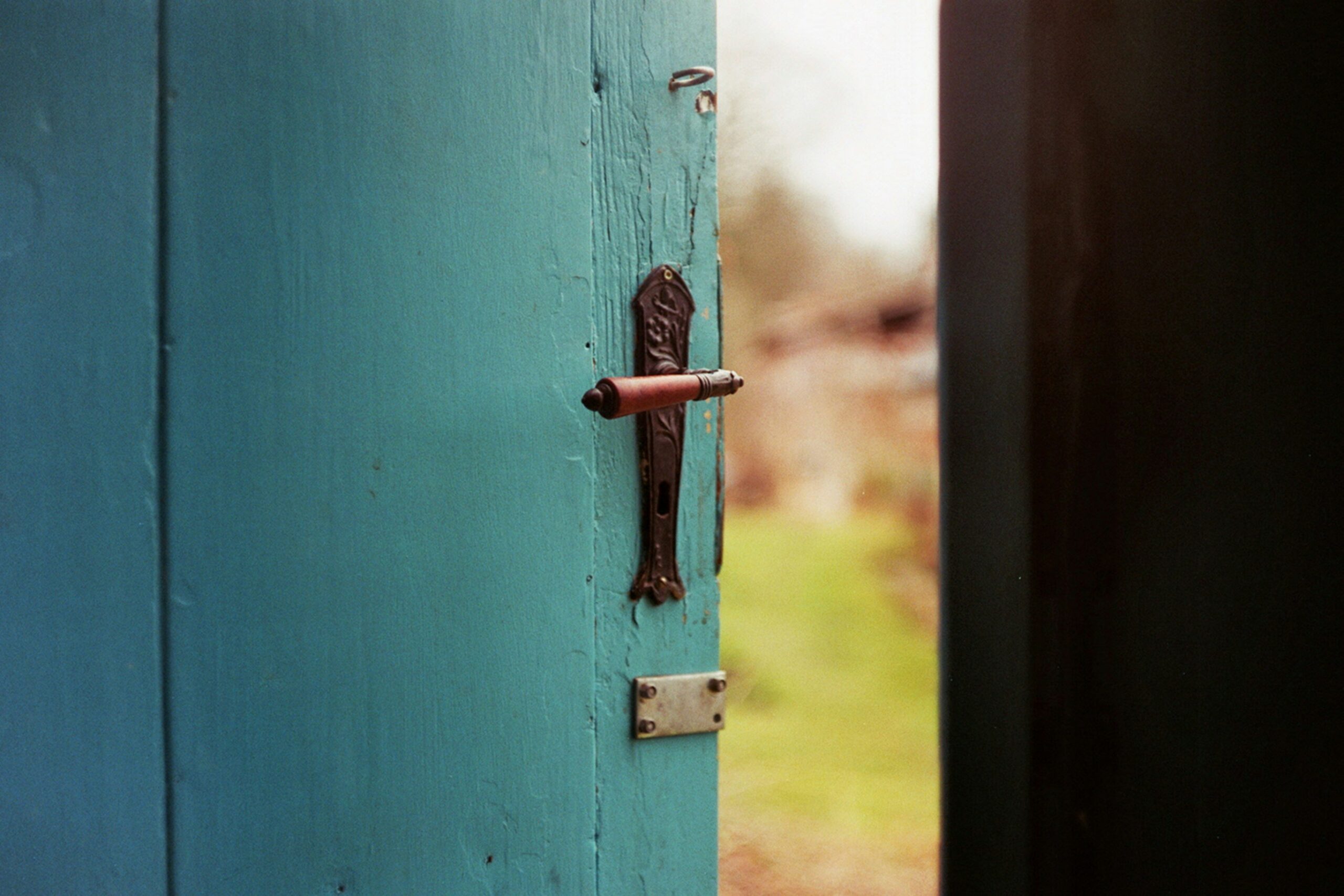 open blue door overlooking a beautiful meadow in sunlight.